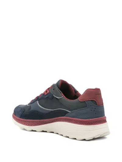 Geox Spherica Anatomical Panelled Lace-up Sneakers In Blue