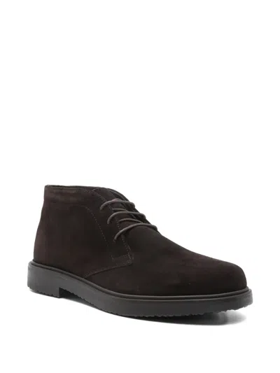 Geox Lace-up Stivaletti In Brown