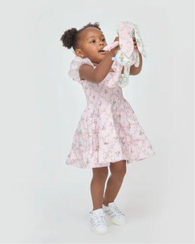 Hill House Home The Baby Ellie Nap Dress In Pink