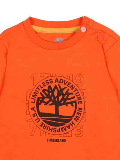 Timberland Red T-shirt For Baby Boy With Tree Print In Orange