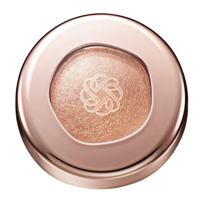 Decorté Eye Glow Gem Skin Shadow Dewy Glow - Warm Umber In Transparent