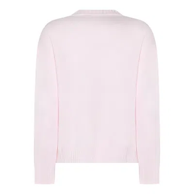 Fabiana Filippi Long Sleeve Crew Neck Knitwear Top In Pink