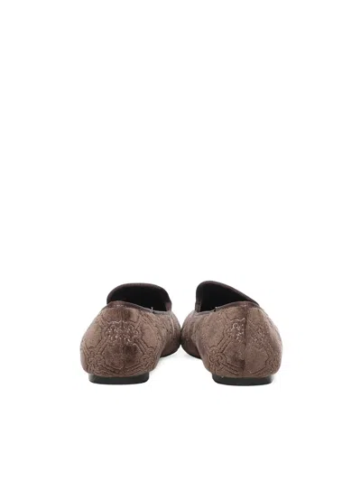 V73 Embellished Pointed-toe Loafers In Brown