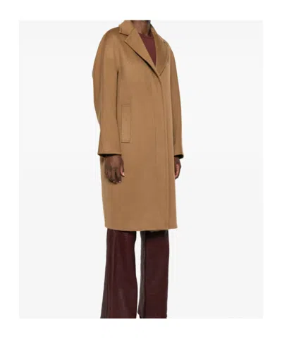 Max Mara Coats Brown In Brown