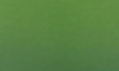 Berghoff International Neo 7 Quart Cast Iron Round Covered Pot In Green