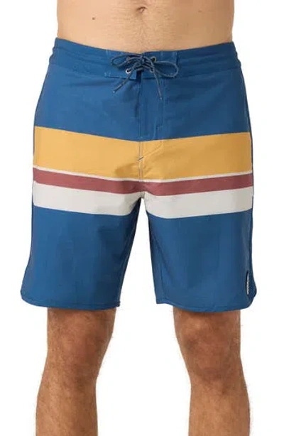 O'neill Cruzer Stripe Scallop Swim Trunks In Blue