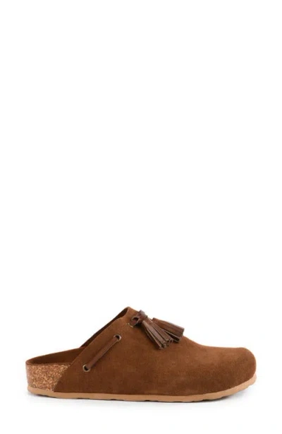 Seychelles No Hassel Tassel Clog In Brown
