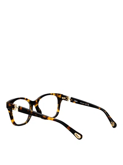 Chloé Ch0334o Glasses In Brown