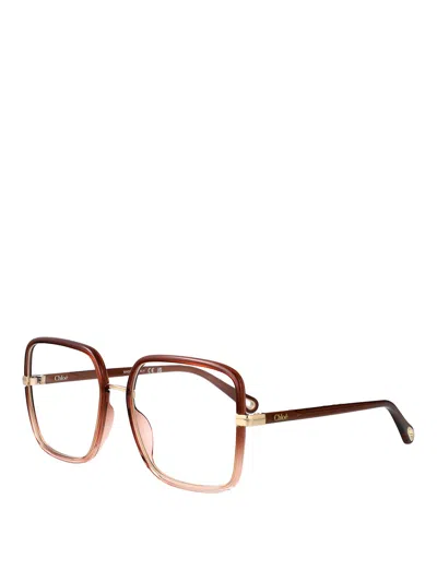Chloé Glasses In Brown