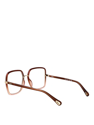 Chloé Glasses In Brown