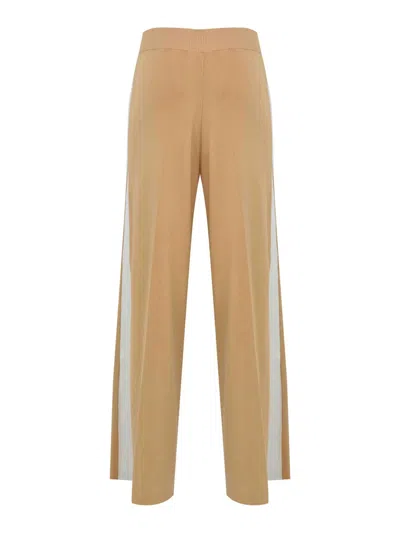 Elisabetta Franchi Viscose Trousers With Shiny Bands In Brown