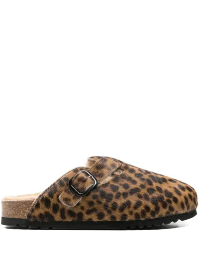 Scholl Fae Leopard-print Buckle Mules In Brown