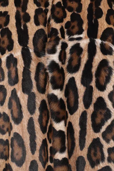 Dolce & Gabbana Double-breasted Goat Leather Coat In Brown