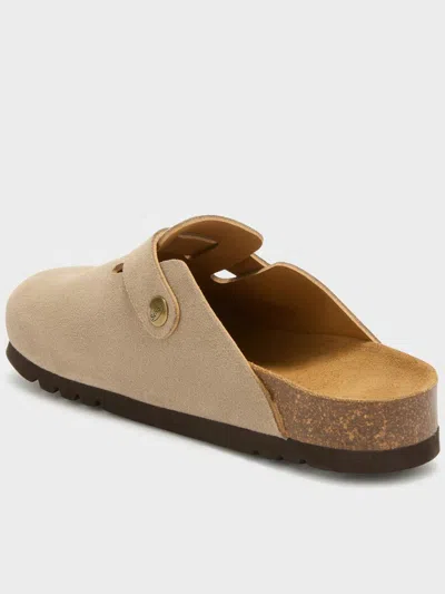 Scholl Fae Shoes In Brown