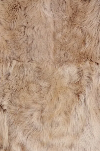 Yves Salomon Fur Coat  Woman Color Beige In Brown