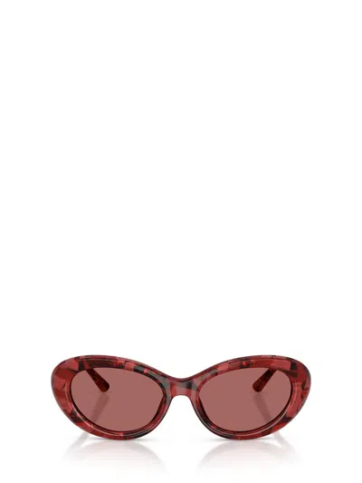 Dolce & Gabbana Full Frame Sunglasses In Neutral