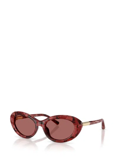 Dolce & Gabbana Full Frame Sunglasses In Neutral
