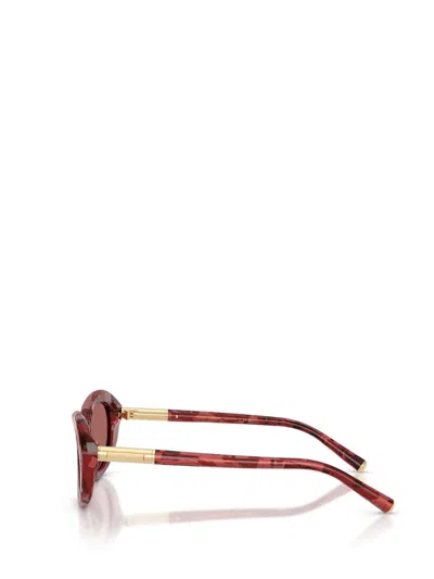 Dolce & Gabbana Full Frame Sunglasses In Neutral