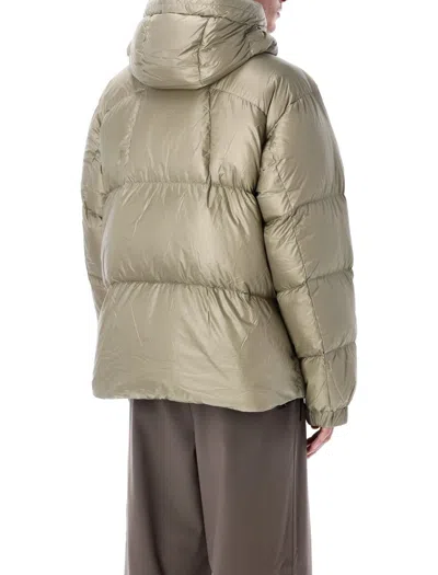 Goldwin Pertex Quantum Down Parka In Neutral
