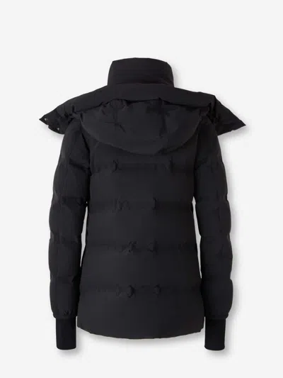 Herno Short Hooded Puffer In Black
