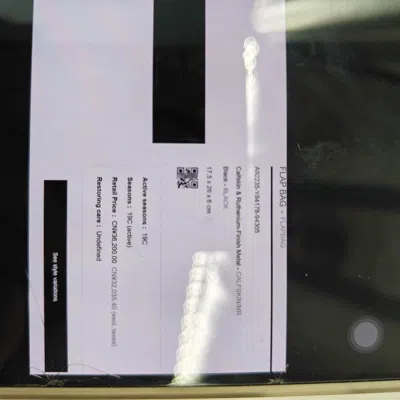 Pre-owned Chanel Women Pre-loved Bag Very Good Condition In Multi