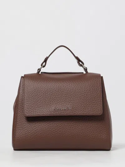Orciani Caffe Soft Sveva Handbag In Brown