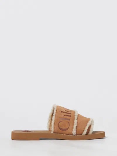 Chloé And Brown Woody Sandals In Brown
