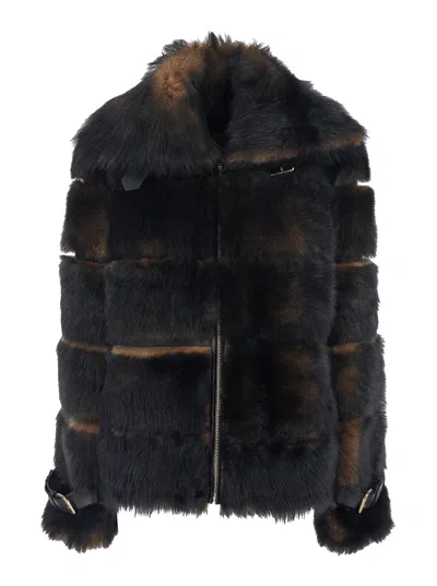 Fendi Women Brown Shearling Jacket With Spread Buckled Collar And Horizontal Band Embellishments In  In Brown