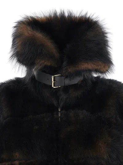 Fendi Women Brown Shearling Jacket With Spread Buckled Collar And Horizontal Band Embellishments In  In Brown