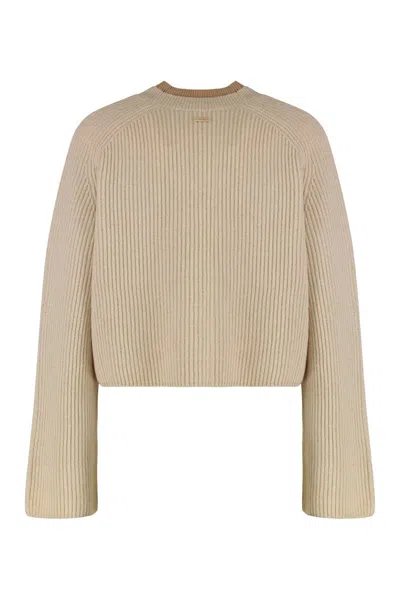 Max Mara Wool And Cashmere Jersey With A Ribbed Knit In Neutral