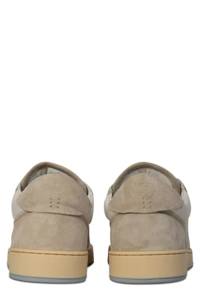 Collegium Pillar Destroyer Low Top Sneaker In Gray