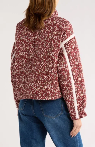 Blanknyc Cropped Quilted Jacket In Brown