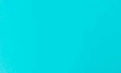 Roxy Beach Classics Fixed Triangle Bikini Top In Blue