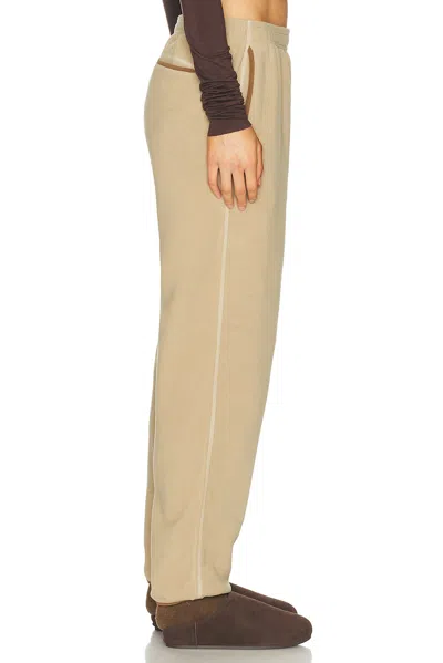 Nike Acg Wolf Tree Pant In Brown