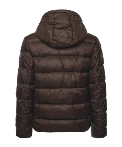 Fay Double-front Down Jacket In Calendered Poplin In Brown
