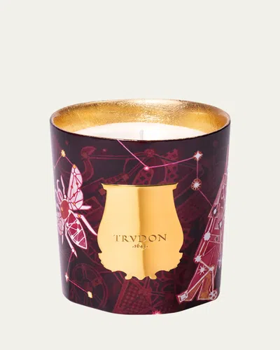Trudon Nuit Enchantee Nazareth Candle, 9.5 Oz. In Purple