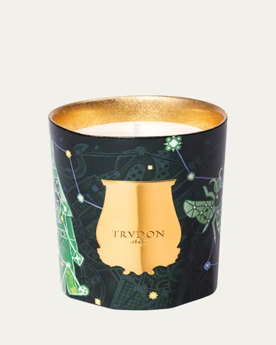 Trudon Nuit Enchantee Fir Candle, 9.5 Oz. In Green
