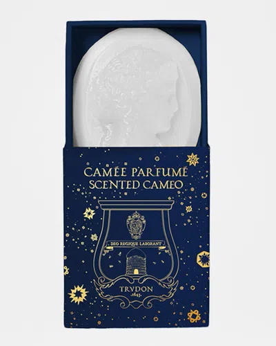 Trudon Fir Scented Cameo Wax, Set Of 4 In Multi