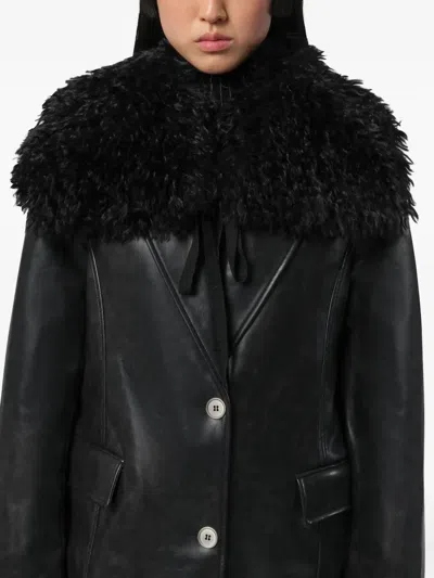 Apparis Eliza Tie Collar In Black