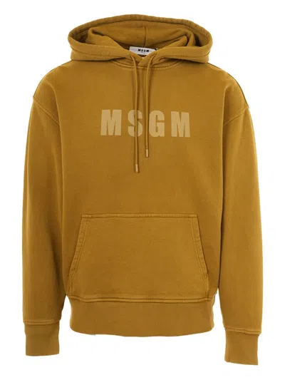Msgm Logo Hooded Sweater In Brown