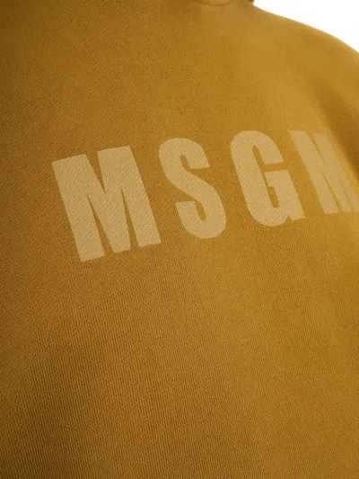 Msgm Logo Hooded Sweater In Brown