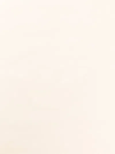 Emporio Armani Rabbit-print Blanket In Neutral