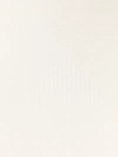 Emporio Armani Embroidered-logo Blanket In Neutral