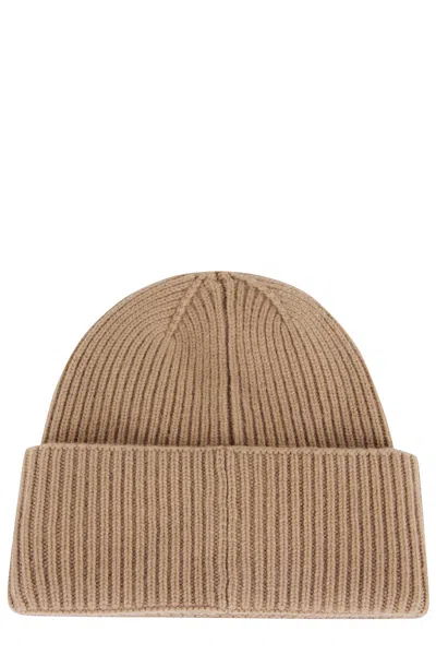 Max Mara Berretto Mmretina In Cashmere In Brown