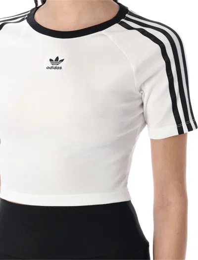 Adidas Originals Women's Originals Adicolor 3-stripes Baby T-shirt In White