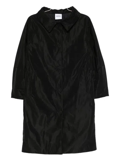 Aspesi Padded Coat In Black