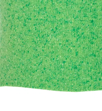 Auralee Crew-neck Long-sleeved Sweater In Green
