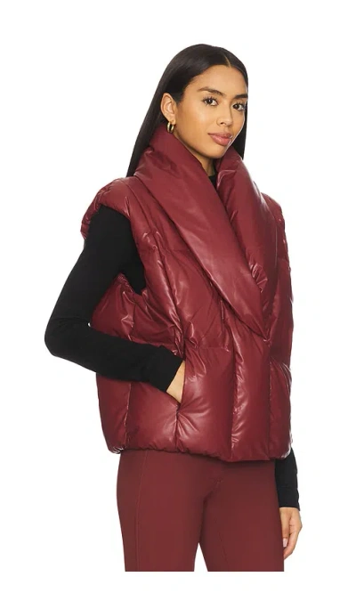 Goldbergh Balou Bodywarmer In Pink