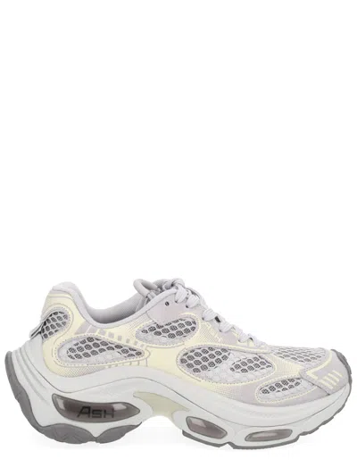 Ash Dragon Sneaker In Gray