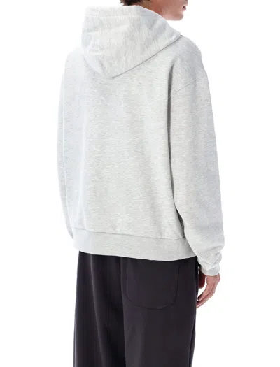 The North Face Hooded Sweatshirt With Drawstring And Ribbed Finish In Gray